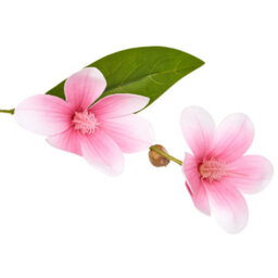 Wyld And Coco 128Cm Artificial Magnolia Tree With Pink Blooms And Green Foliage, Potted Indoor Décor - thumbnail 3