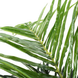 Darphe Artificial Home Decoration Imitation Potted Palm Tree Height 180 Cm - thumbnail 5