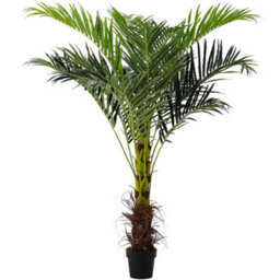 Darphe Artificial Home Decoration Imitation Potted Palm Tree Height 180 Cm - thumbnail 4