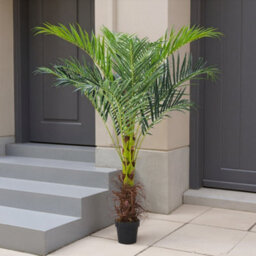 Darphe Artificial Home Decoration Imitation Potted Palm Tree Height 180 Cm - thumbnail 2