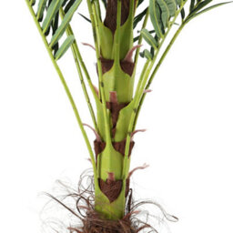 Darphe Artificial Home Decoration Imitation Potted Palm Tree Height 180 Cm - thumbnail 7