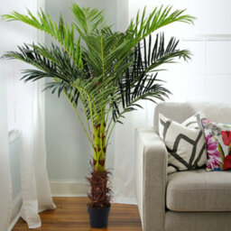 Darphe Artificial Home Decoration Imitation Potted Palm Tree Height 180 Cm - thumbnail 3