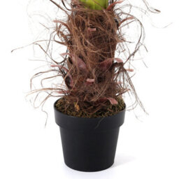 Darphe Artificial Home Decoration Imitation Potted Palm Tree Height 180 Cm - thumbnail 8