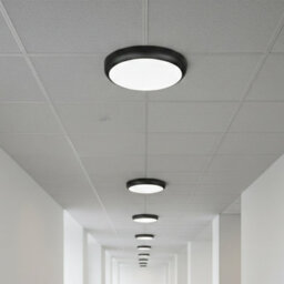 HARLED Halo Bulkhead Black Standard Ceiling Light/wall Light Ip65 Switchable Wattage 12W-15W-18W - thumbnail 2