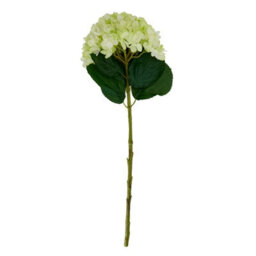 Oversized                  Green                  Hydrangea - thumbnail 4
