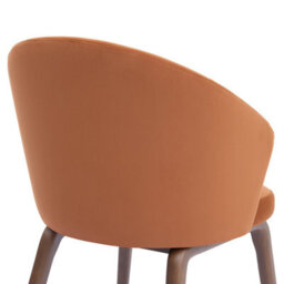 Woodmere Rusty Orange Velvet Dining Chair With Walnut Effect Ash Solid Wood Frame - thumbnail 7