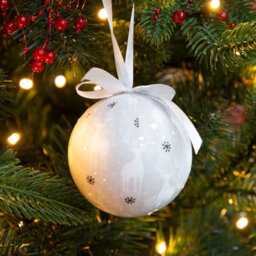 The Christmas Workshop 72629 Set Of 14 Silver & White Coloured Reindeer Design Christmas Baubles  - thumbnail 7