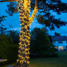 Christmas Tree World Crownvine 30M Fairy Lights Starter Set - 300 Leds Warm White - Black Rubber Cable - thumbnail 4