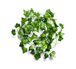 6 Best Artificial 7Ft - 210Cm Dark English Ivy Garland String Strand Twine Decoration - Il02 - thumbnail 3