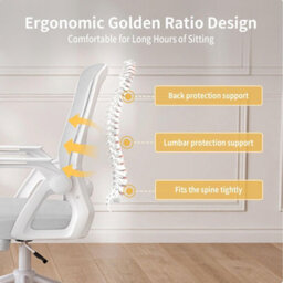 Onemill Executive Office Chair With Padded Seat Cushion, Flip-Up Armrest And Lumbar Support For Home Or Office Use - thumbnail 5