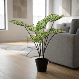 Garden Greatness Artificial Potted Caladium Leaves Plant - thumbnail 5