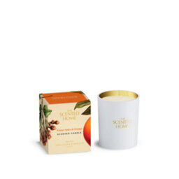 Ashleigh & Burwood Scented Home Glass Candle - Winter Spice & Orange
