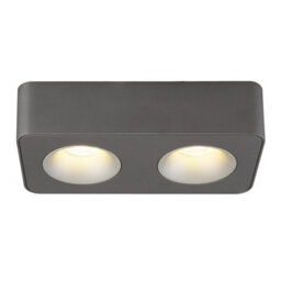 Luminosa Lighting Luminosa Hangarau Twin Ceiling Spotlight Grey Dark Led 3000K - thumbnail 3