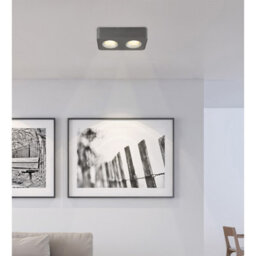 Luminosa Lighting Luminosa Hangarau Twin Ceiling Spotlight Grey Dark Led 3000K - thumbnail 5