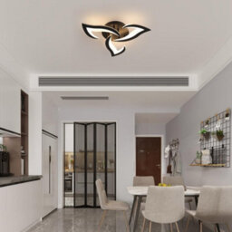 Pheashine Black Led Ceiling Light 36W 3060Lm 58Cm Acrylic 3-Head 3000K Warm White - thumbnail 2