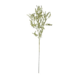 Hill Interiors Broom Artificial Flower Green (One Size) - thumbnail 1