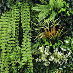 True Products Premium Artificial Green Plant Living Wall Panel 1M X 1M - Amazonian - thumbnail 2