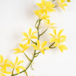 Scottish Everlastings Ltd. Scottish Everlastings 115Cm Artificial Magnolia Yellow Star Flower Garland - Pack Of 2 - thumbnail 3
