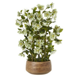 Wyld Haus Large Artificial Hellebore Plant In Taupe Ceramic Pot, 85 Cm - thumbnail 1