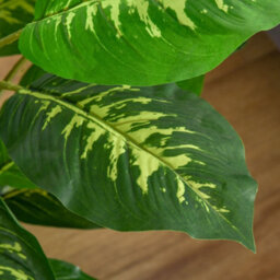 Homcom 95Cm Artificial Evergreen Tree Fake Plant In Pot Indoor Decor - thumbnail 9