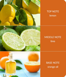 Heart and Home Heart & Home Citrus Crush  Twin Wick Ellipse Soy Candle - 40 Hours Burn - thumbnail 4