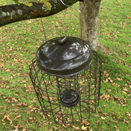 Selections Heavy Duty Squirrel Proof Hanging Bird Suet Fat Ball Feeder Cage - thumbnail 2