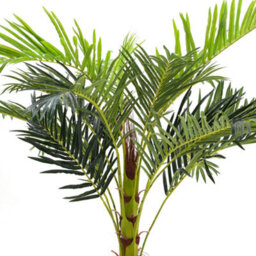 Living And Home Artificial Plant Artificial Tree Indoor Outdoor Decorative Plant Fake Palm Tree In Black Pot H 180 Cm - thumbnail 4