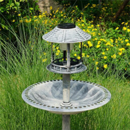 Grey Pedestal Solar Bird Bath Feeder Planter Feeding Table Station - thumbnail 6
