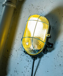 CGC Lighting Cgc Gina Black Oval Metal Cage Bulkhead Wall Or Ceiling Light - thumbnail 1