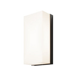 Luminosa Lighting Luminosa Badd Outdoor Flush Wall Lamp Graphite 3000K 700Lm Ip54 - thumbnail 1