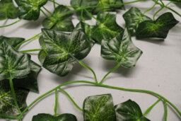 Best Artificial 7Ft - 210Cm Dark English Ivy Garland String Strand Twine Decoration - Il02 - thumbnail 8