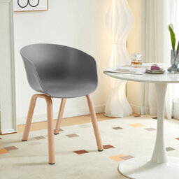 Darphe Dining Chair Set Of 4 Plastic Dining Chair - thumbnail 1