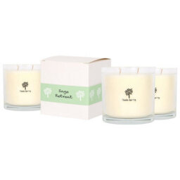 Nicola Spring 3X Sage Retreat Scented Candles - 400G 28H Natural Single Wick Soy Wax Aromatherapy Candle Home Fragrance