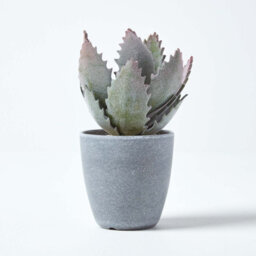 Homescapes Artificial Purple & Green Handcrafted Aloe Vera Succulent In Grey Pot, 21 Cm - thumbnail 6