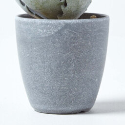 Homescapes Artificial Purple & Green Handcrafted Aloe Vera Succulent In Grey Pot, 21 Cm - thumbnail 4
