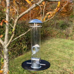 Selections Heavy Duty Metal Bird Seed Feeder With Seed Catcher Tray - thumbnail 2