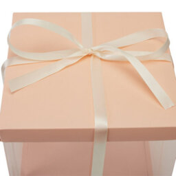 Living And Home 12 Inch Pink Clear Plastic Cake Gift Box With Ribbon 34Cm (W) X 34Cm (D) X 37Cm (H) - thumbnail 4