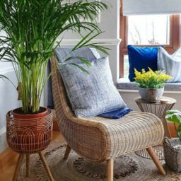Desser Teardrop Natural Wicker Chair (H)91Cm X (W)54Cm X (D)81Cm - thumbnail 4