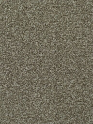 Devotion Gold Bleach Cleanable Carpet By Remland (Mushroom, 4M X 4M)