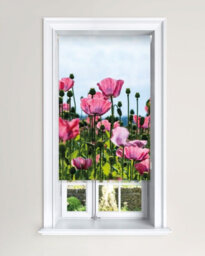 Lister Cartwright Blackout Roller Blind Pink Poppy Field Roller Blinds ( 90 Cm Width X 140 Cm Drop)