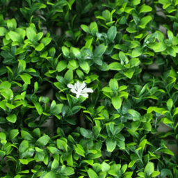 True Products Premium Artificial Green Plant Living Wall Panel 50Cm X 50Cm - White Flower - thumbnail 3