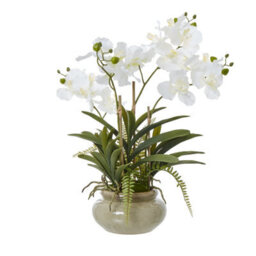 Wyld Haus White Vanda Orchid Artificial Plant In Glossy Ceramic Pot 68Cm - thumbnail 1