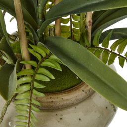 Wyld Haus White Vanda Orchid Artificial Plant In Glossy Ceramic Pot 68Cm - thumbnail 4