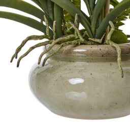 Wyld Haus White Vanda Orchid Artificial Plant In Glossy Ceramic Pot 68Cm - thumbnail 3