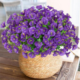 10 Pack Uv Resistant Outdoor Artificial Flowers, Fake Flower Bouquets, Artificial Plants For Outdoor And Indoor Use (Purple) - thumbnail 1