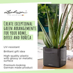 14Cm Square Planter, White High-Gloss Plastic Self-Watering Planter With Water Level Indicator Lechuza Cube Glossy Cat - thumbnail 5