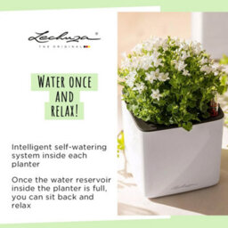 14Cm Square Planter, White High-Gloss Plastic Self-Watering Planter With Water Level Indicator Lechuza Cube Glossy Cat - thumbnail 6