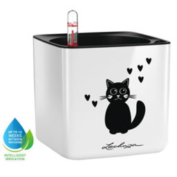 14Cm Square Planter, White High-Gloss Plastic Self-Watering Planter With Water Level Indicator Lechuza Cube Glossy Cat - thumbnail 1