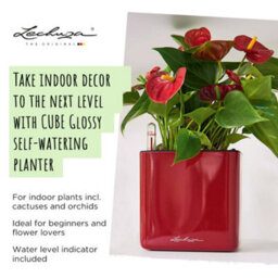 14Cm Square Planter, White High-Gloss Plastic Self-Watering Planter With Water Level Indicator Lechuza Cube Glossy Cat - thumbnail 2