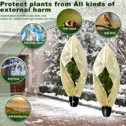 Outdoor Plant Winter Cover, 80G M² Cover 240 X 200Cm, For Plants And Shrubs Suitable Protecting - thumbnail 4